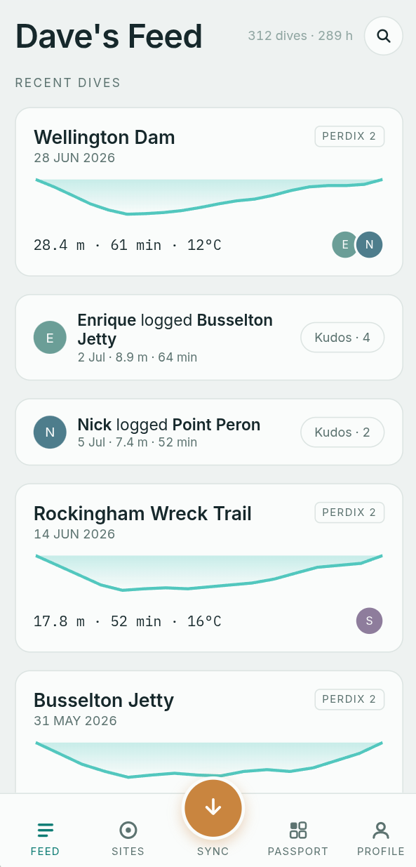 Karst feed screen